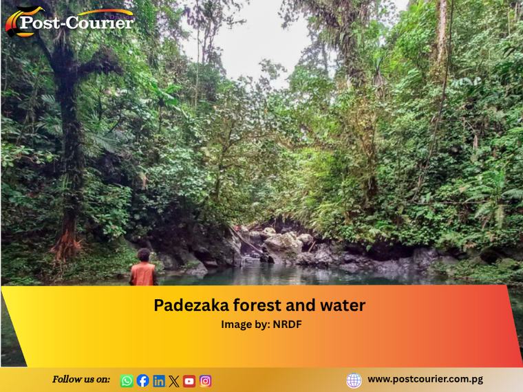 Padezaka forest gets go-ahead to join global carbon market, promising income for 4,000 landowners in Solomons